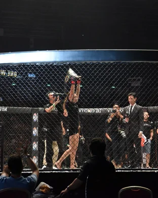 BKFC Fight Night