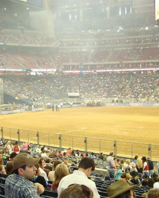 Xtreme Bulls