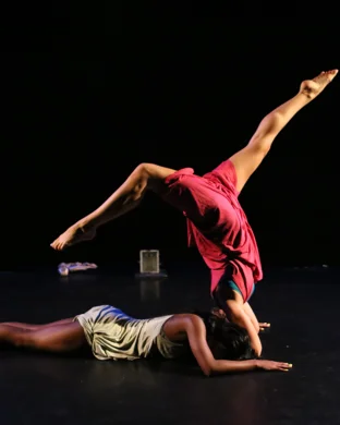 Pilobolus